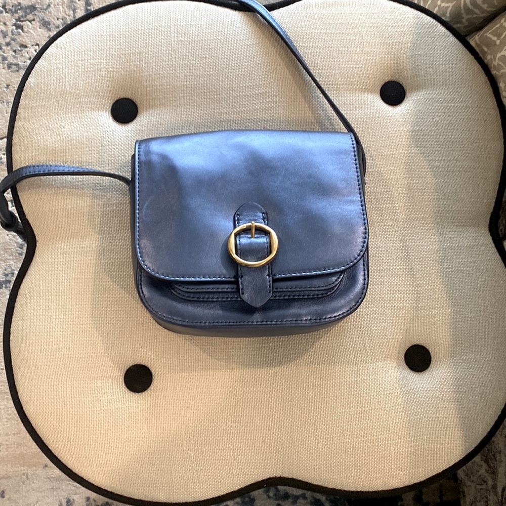 Banana Republic Blue Metallic Crossbody - New